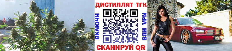ТГК THC oil  хочу наркоту  Касли 