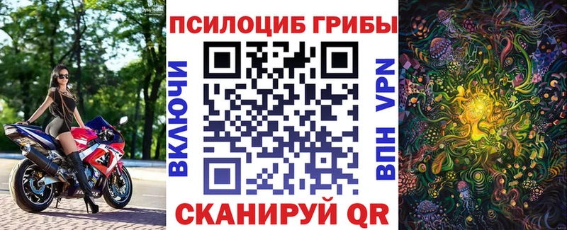 наркота  OMG ONION  Галлюциногенные грибы Psilocybe  Касли 